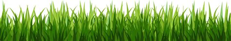 grass clipart clear background grass clear background transparent
