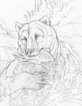 Coloring Bergsma Bear Jody Burning Disegni Vari Pyrography Waldtiere Ours Tegninger Coloriages Malvorlagen Attrapant Poisson Colorare Vilde Dyr Frogs Skizzen sketch template