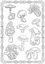 Coloring Mushrooms sketch template