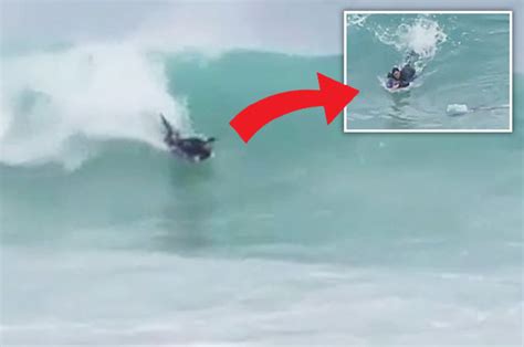 shark lurks in ocean before leaping at teen surfer in terrifying clip daily star