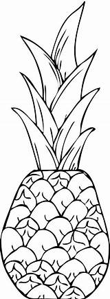 Pineapple Clipart Clip Drawing Coloring Pages Hawaiian Printable Cliparts Kids Clipartix Template Tumblr Line Transparent Colouring Paintingvalley Library Cliparting Webstockreview sketch template