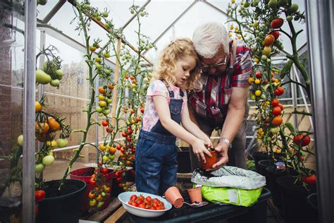 vegetables  grow   greenhouse food gardening network