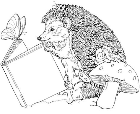 animals reading books clipart   cliparts  images