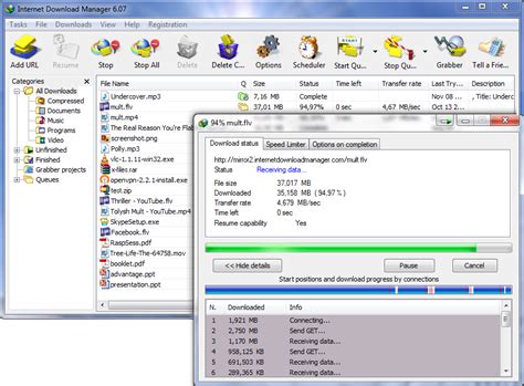 internet  manager screenshot