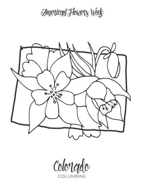 printable state flower coloring pages