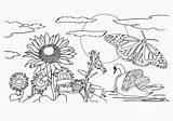 Coloring Placemat Printable Color Summer Nature Pages Kids Print Scene sketch template