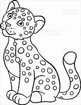 Jaguar Coloring Pages Baby Simple Cute Cat Outline Drawing Printable Print Color Colorir Animal Coloringbay Cats Animals Getcolorings Little Ba sketch template
