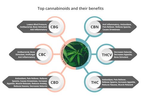 cannabinoids differences between cbd vs cbg cbn cbc victory leaf