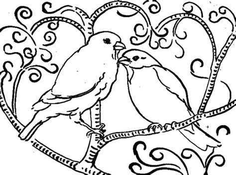 lovebird coloring   designlooter