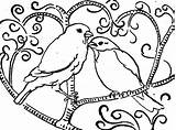 Coloring Birds Pages Lovebird Bird Feeder Nightingale Perching Tree Batch Getcolorings Designlooter Color Printable 92kb 446px Tweety sketch template