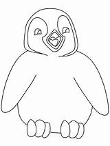 Coloring Penguin Pages Kids sketch template