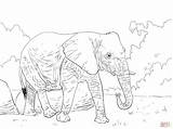 Elefante Sabana Africano Elephant Skip African sketch template