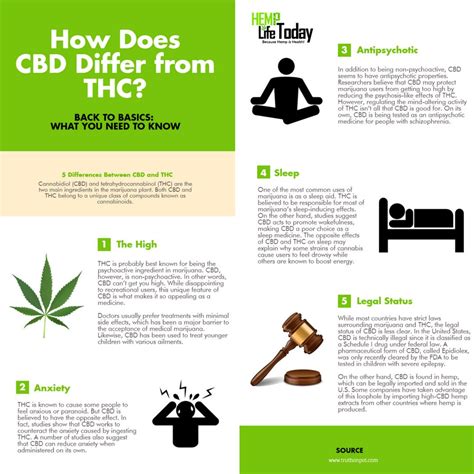 now cbd is a hot item right now it s been slowly growing in popularity