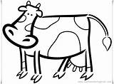 Coloring Cute Cow Edit Am sketch template