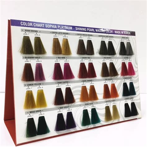 2019 Fashion Hair Colour Chart Hair Swatch Color Chart For Hair Dye