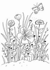 Coloring Meadow Blumen Vorlage Blumenwiese Wiese Ausmalbilder Malvorlagen Coloriage Fleurs Pages Und Malen Flowers Imprimer Frühling Ausmalbild Zum Ausmalen Schmetterling sketch template