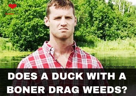 21 best letterkenny quotes to make you laugh bulk quotes now