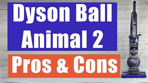 dyson ball animal  review pros  cons youtube