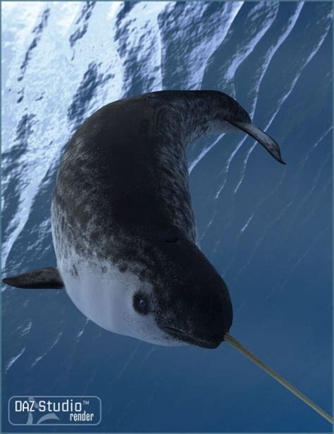 narwhal render state