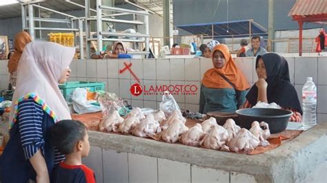 Harga Daging Ayam Potong Naik Di Pasar Sidomulyo