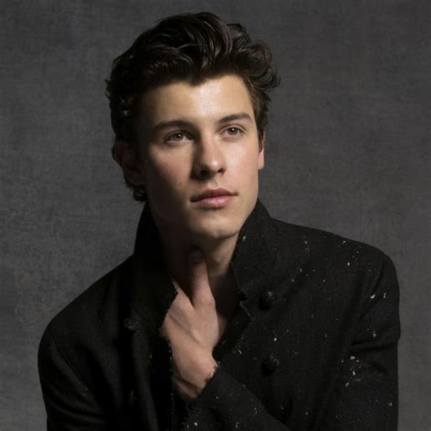 shawn mendes on spotify