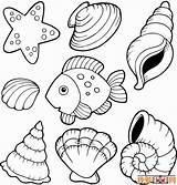 Coloring Shell Pages Clam Sea Seashells Printable Beach Shells Seashell Kids Oyster Clipart Template Color Print Sheets Outline Fish Clip sketch template