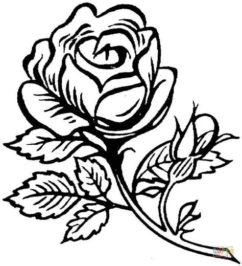 rose printable coloring pages roses coloring pages  coloring