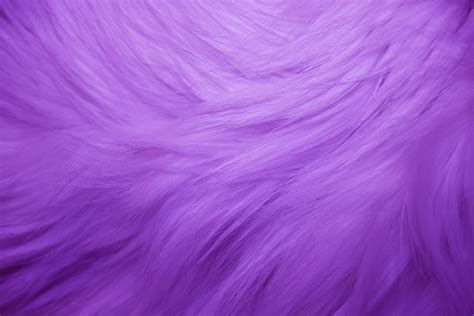 purple fur texture picture  photograph  public domain