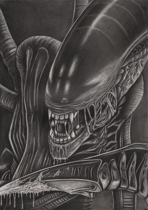 alien graphite drawing   tacular artist  deviantart