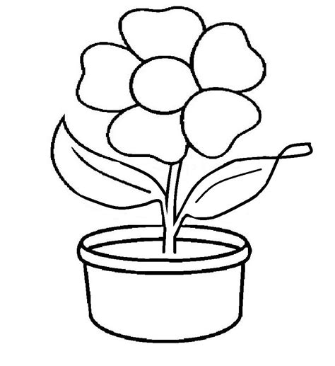 kumpulan sketsa flora  mudah digambar  kanvas