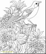 Coloring Pages Scenery Adults Beautiful Drawing Tropical Getdrawings Printable Adult Color Print Scenes Getcolorings sketch template