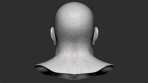 head detalized  model  ericmcguree