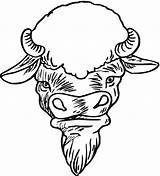 Buffalo Coloring Pages Bison Face Wildlife Animals sketch template