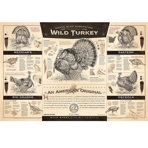 the grand slam subspecies of the north american wild turkey paper pr