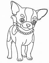 Chihuahua Coloring Pages Dog Cute Necklace Chiwawa Beautiful Drawing Puppy Netart Kids Colouring Color Printable Sheets Print Getdrawings Beverly Hills sketch template