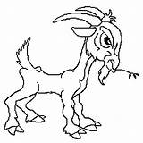Billy Coloring Pages Gruff Goats Three Para Colorear Dibujos Dibujo Goat Cabrita Cabras Getcolorings Animales Animados Dairy Guardado Desde sketch template