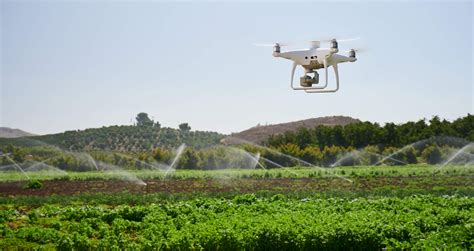drones   farm
