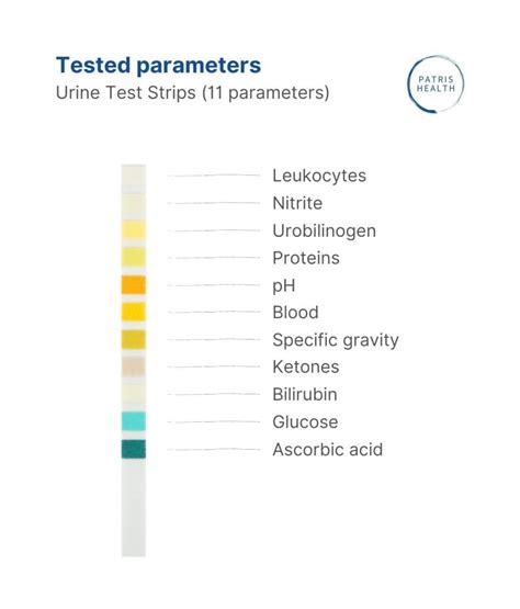 urine test strips  parameters  home urine analysis