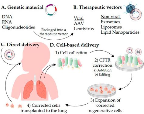 frontiers treatment of cystic fibrosis from gene to cell based