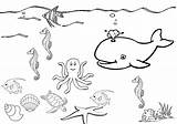 Sea Under Coloring Pages Drawing Printable Color Print Drawings Getdrawings Getcolorings Kids Without Designlooter sketch template