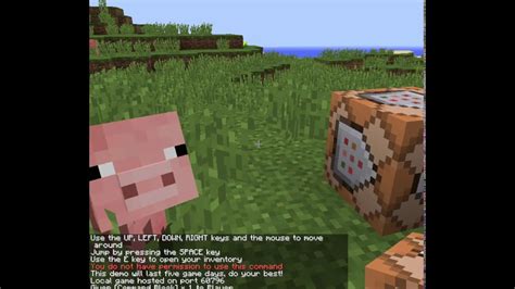 minecraft commands you do not have permission luisa rowe
