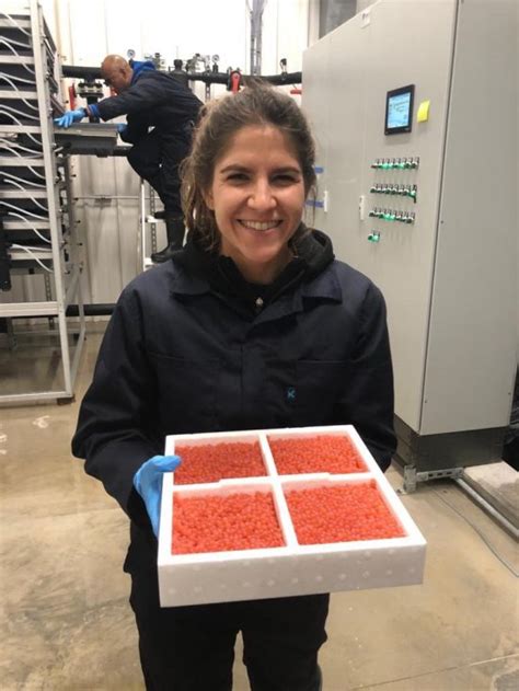 atlantic sapphire puts   eggs  miami facility aquaculture north america