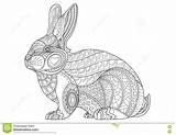 Coloring Vector Rabbit Vintage Doodle Drawn Bunny Hand Illustration sketch template