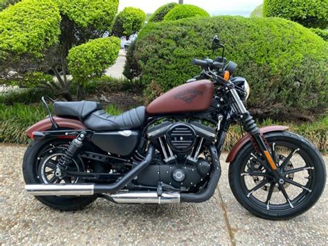 harley davidson iron  xln  miles brown  manual  harley davidson iron