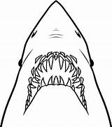 Jaws Shark Coloring Pages Drawing Draw Clipart Jaw Color Hungry Easy Line Template Great Vector Step Stencil Print Ripped Ready sketch template