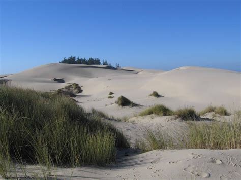 por  hay  proteger las dunas de las playas semanario primer