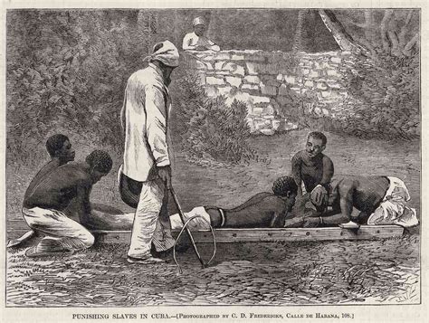 west african atlantic slave trade in cuba slaves stripped and whipped