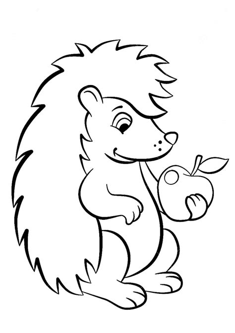 cute hedgehog coloring page