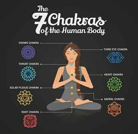 the 7 chakras chakra reiki chakra learn reiki