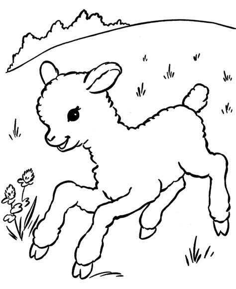 baby lamb coloring pages coloring home